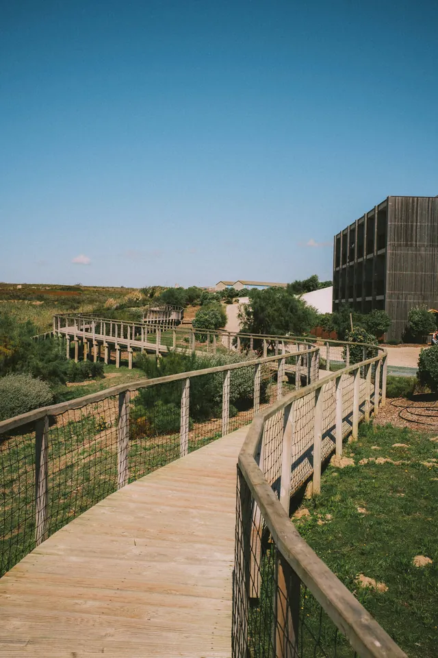 Boardwalk curving through the gardens at Aethos